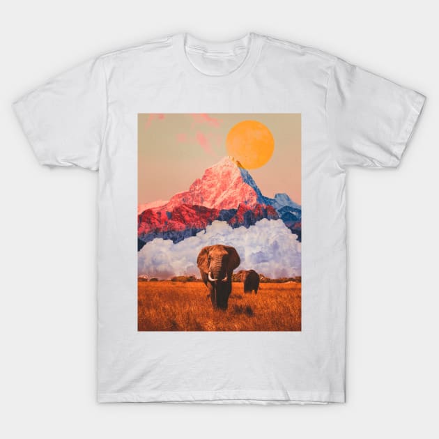 Elephant T-Shirt by Ali del sogno